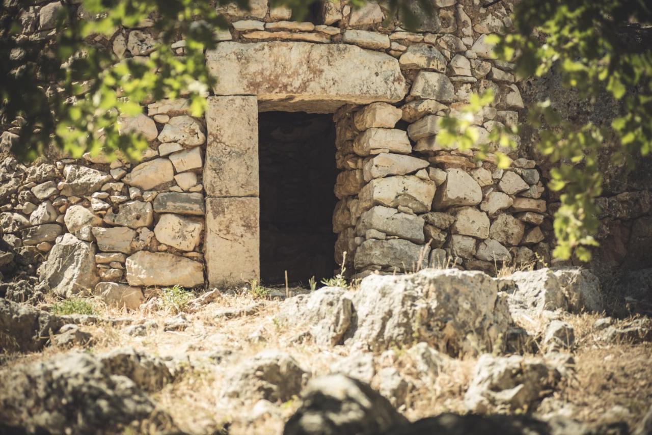 Masseria Storica Pilapalucci Villa Toritto Exteriör bild